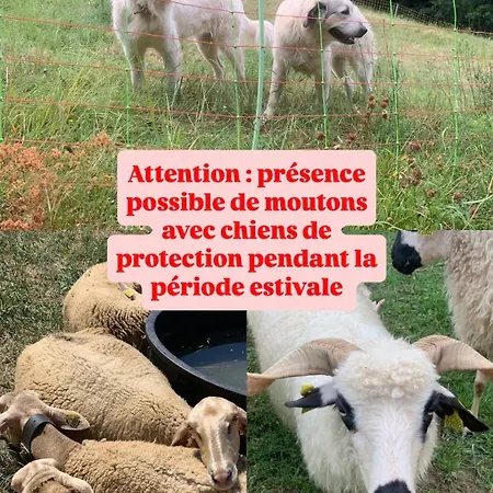 Maisonnette Des Vignes * البيتفيل